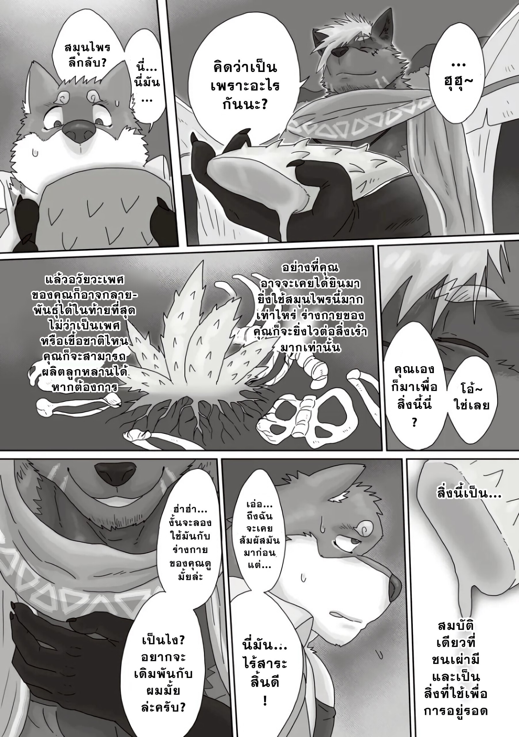 ตามหาสมุนไพร 02-6